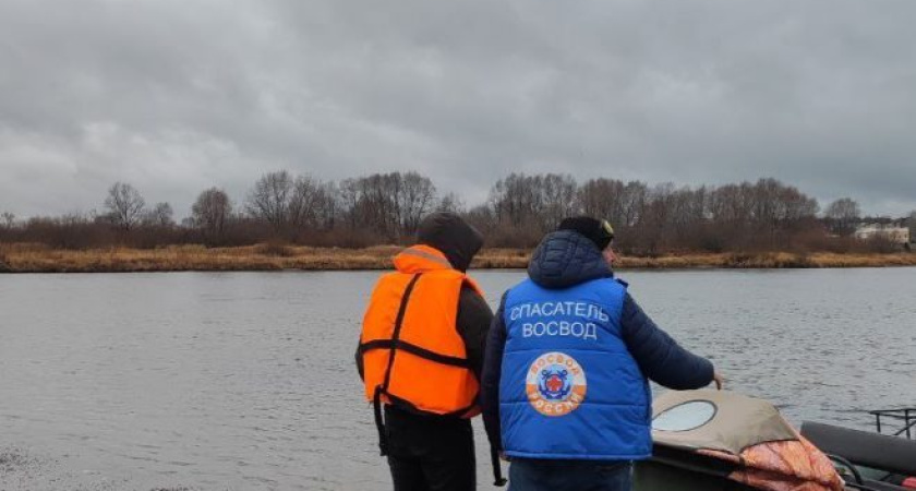 В Сарапуле проходят оперативные мероприятия по установлению причин гибели перелетных птиц