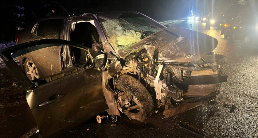 В Удмуртии женщина и 15-летняя девочка получили травмы в результате лобового столкновения автомобилей