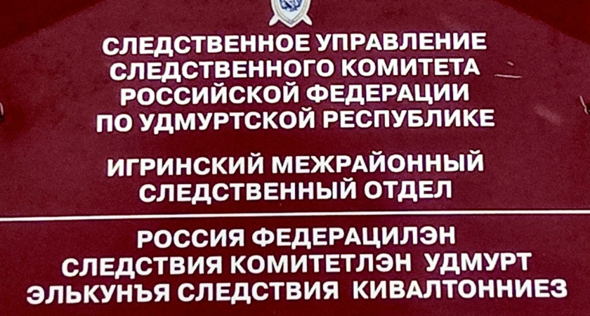 В Игре две местные жительницы обвиняются в мошенничестве в особо крупном размере