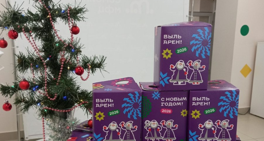 В Удмуртии детям, находящимся в трудной жизненной ситуации, начали выдавать сладкие новогодние подарки