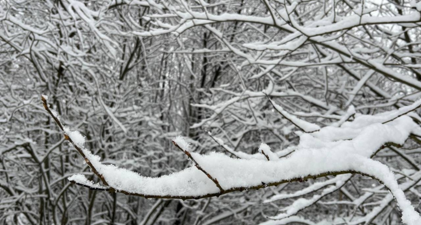 В Удмуртии 31 декабря ожидаются снег и гололедиц