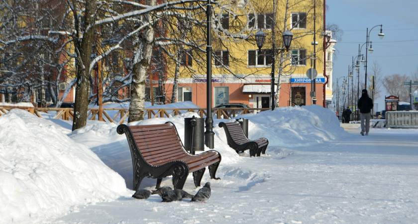 Метеорологи прогнозируют снегопады и усиление ветра в Удмуртии в ближайшие дни