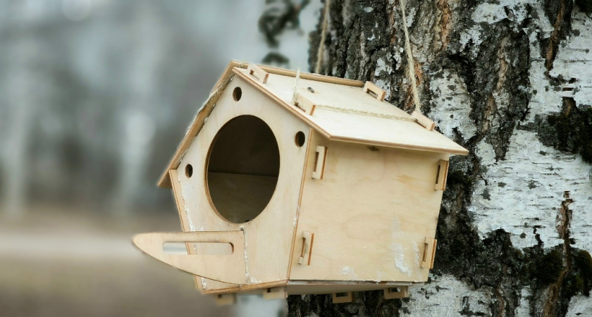 Юные жители Удмуртии изготовили почти тысячу кормушек в рамках экологической акции