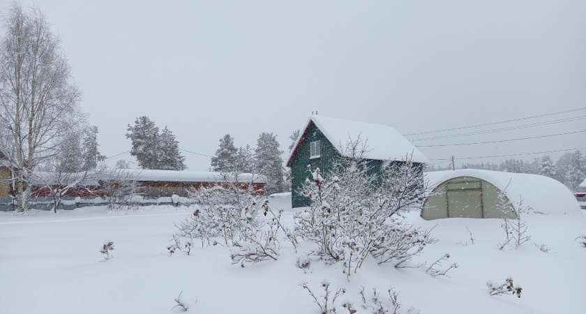 4 января в Удмуртии прогнозируется сильная метель