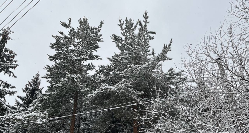 Специальная Дирекция провела 2440 обходов: в Удмуртии отчитались о защите уникальных территорий