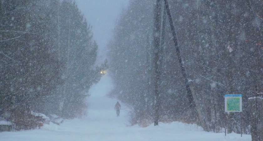В Удмуртии прогнозируют сильный снегопад 12 января