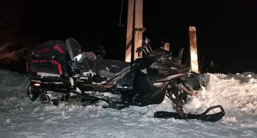 В Удмуртии подросток погиб, врезавшись на снегоходе в опору ЛЭП