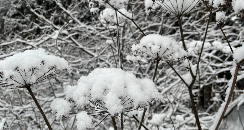 В Удмуртии прогнозируют потепление и снегопады в крещенские праздники
