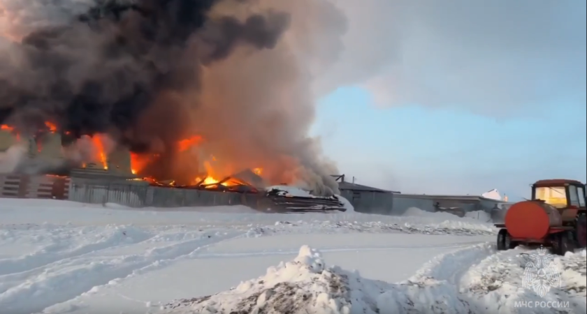 В Удмуртии при пожаре в частном доме погибли пенсионерка и ребенок
