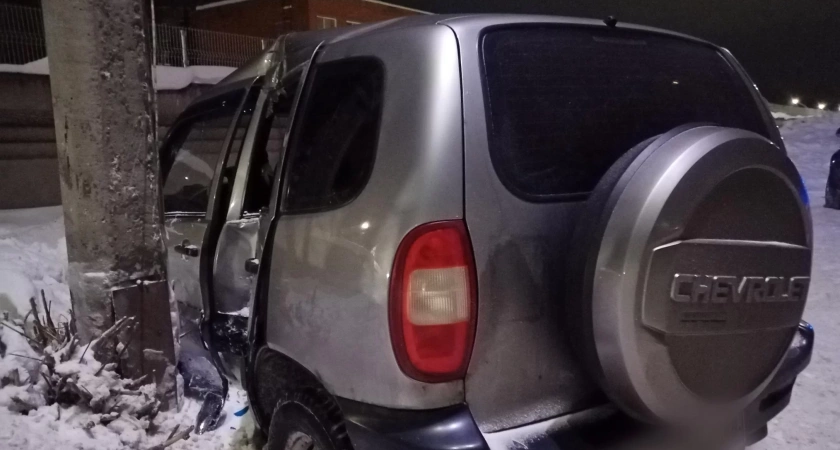 Пассажирка оказалась в реанимации после наезда "Нивы" на столб в Глазове