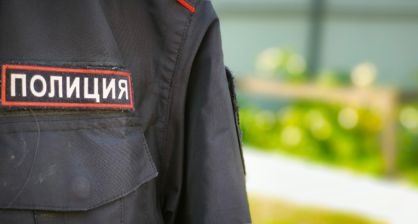 В Удмуртии пенсионер спилил опоры ЛЭП ради похищения кабеля на 250 тысяч рублей