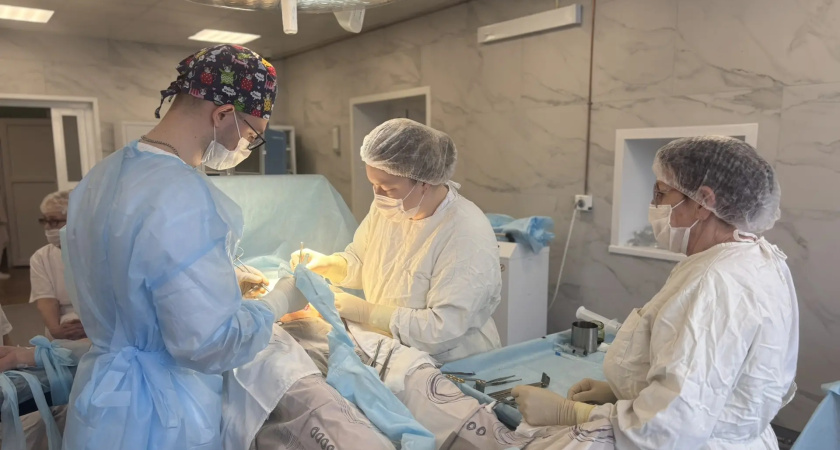 В Глазове врачи удалили редкий по размеру камень из мочевыводящих путей пациентки