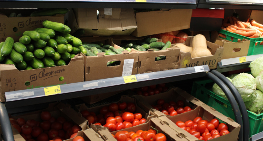 Цены на огурцы в Удмуртии выросли за неделю на 8%