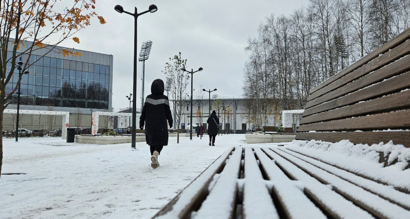 2 февраля Удмуртию ждёт мощный снежный удар