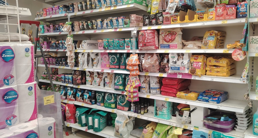 «Не травите этим кошек»: в Роскачестве назвали самые худшие марки корма для животных