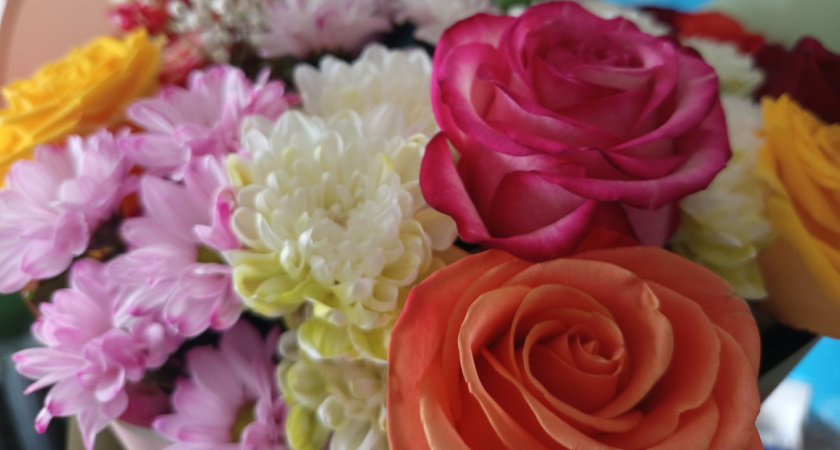 В Удмуртии уничтожили заражённые хризантемы