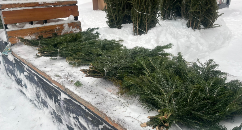 На Центральной площади столицы Удмуртии после Старого Нового года демонтируют главную елку