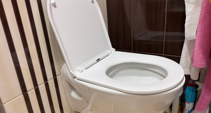 Унитаз в домах не в моде уже лет 5: вот чем пользуюсь вместо него