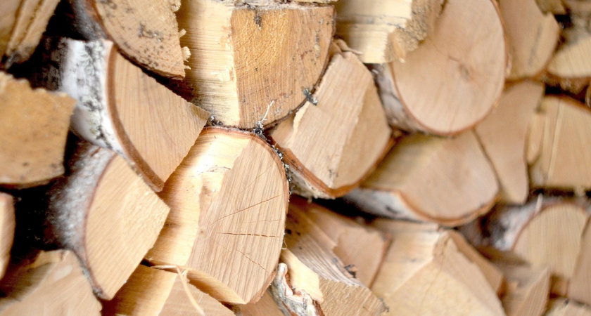 Удмуртия экспортировала 12 тысяч изделий из древесины в Турцию в 2026 году