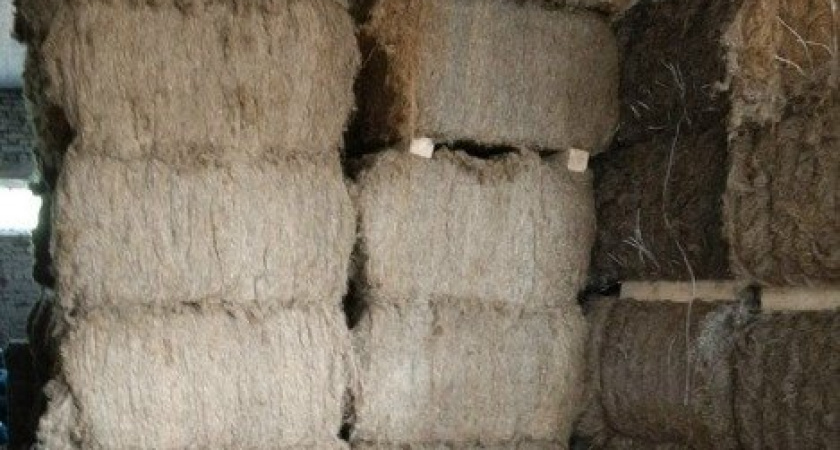 Удмуртия поставила в Китай 40 тонн льна в 2026 году