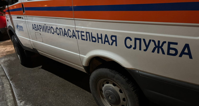 В Удмуртии рыбака спасли после поломки снегохода