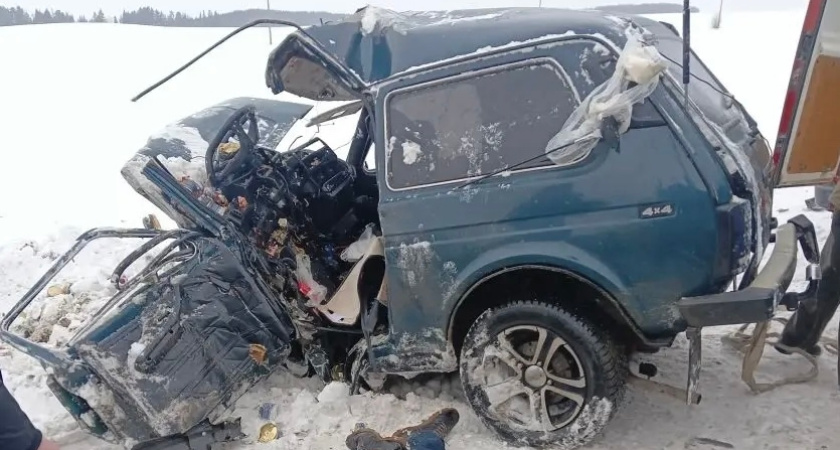 Лобовое столкновение на федеральной трассе в Удмуртии унесло жизни двух людей