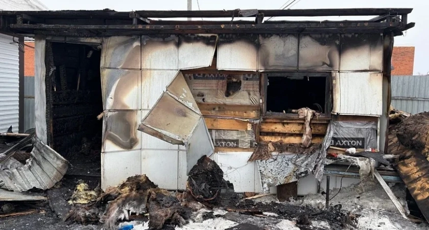 Пожар в Удмуртии унес жизнь пожилого мужчины в сторожке