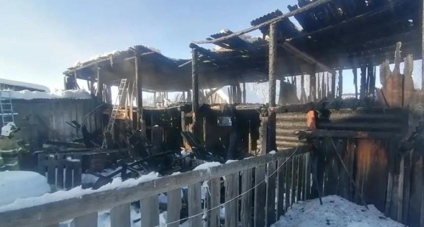 Неосторожность при замене газового баллона привела к крупному возгоранию в Удмуртии