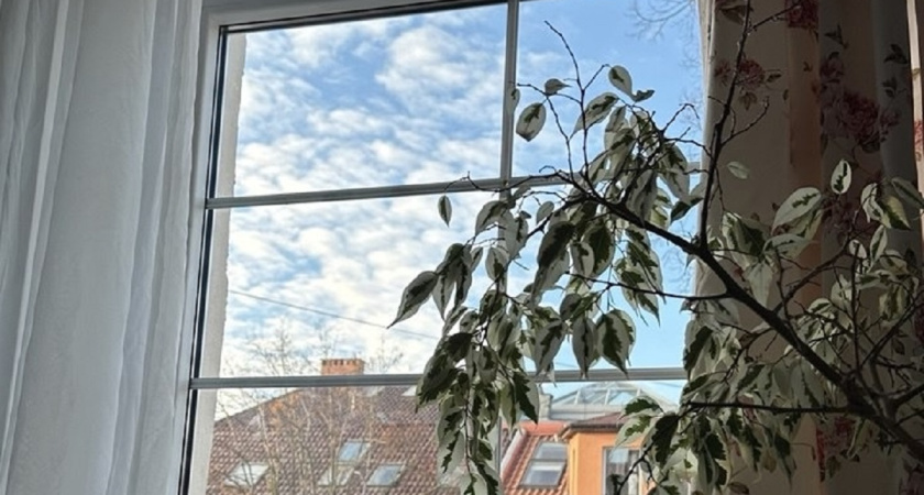 Окна, намытые как после клининга: 2 пакетика в кипяток и 8 месяцев без разводов - моя домашняя хитрость