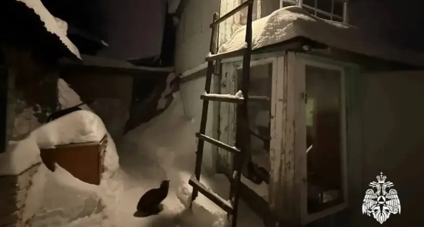 В Удмуртии в бане произошёл пожар из-за оставленных у печи дров