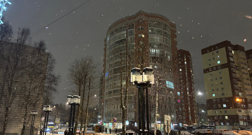 Прогноз погоды 24 февраля в Удмуртии: морозная ночь, метель и порывистый южный ветер