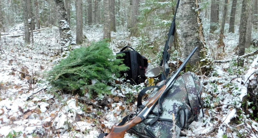 Пенсионер из Удмуртии получил год строгого режима за кражу ружья ИЖ-27 и 106 патронов у знакомого