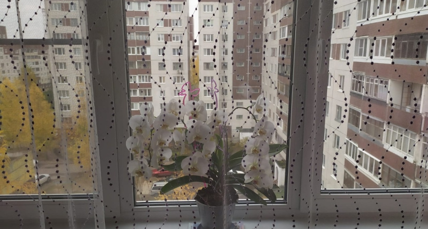 Старый тюль не выбрасываю: вот что с ним делаю - 10 полезных вариантов, для дома и души