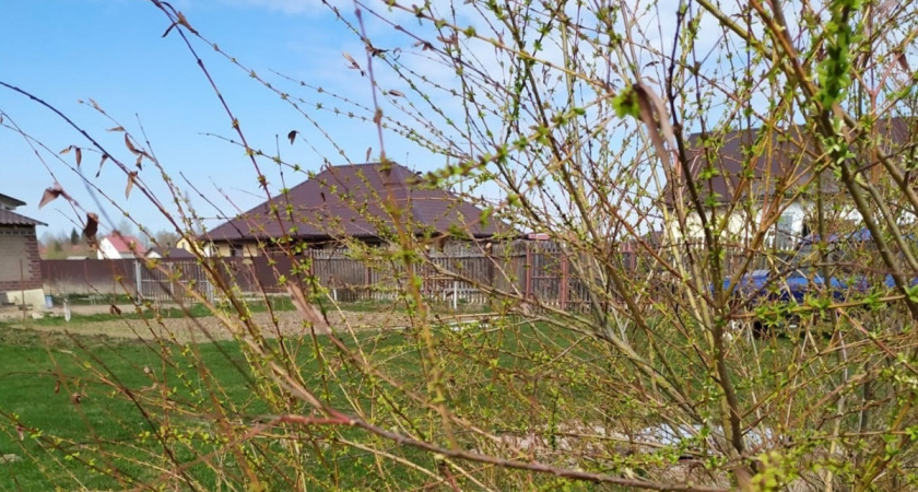 Кирилл Весноуказчик: погода 27 февраля определит каким будет лето - народные приметы