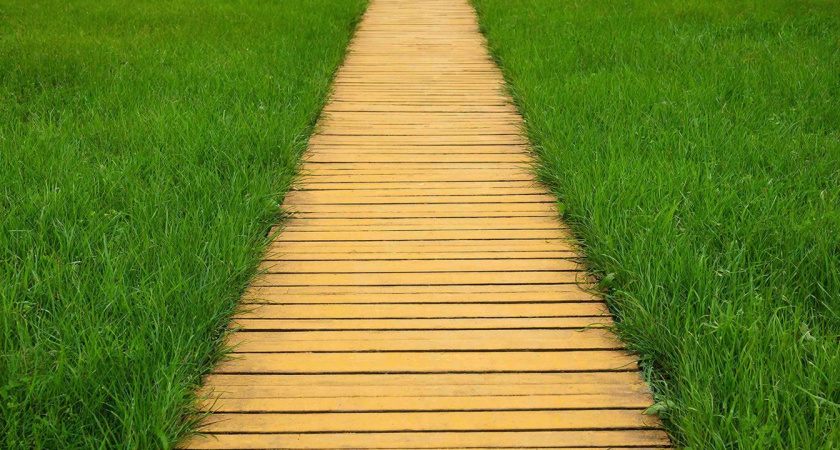 Доски, которые не гниют 1000 лет: дедовский способ обработки, о котором все забыли