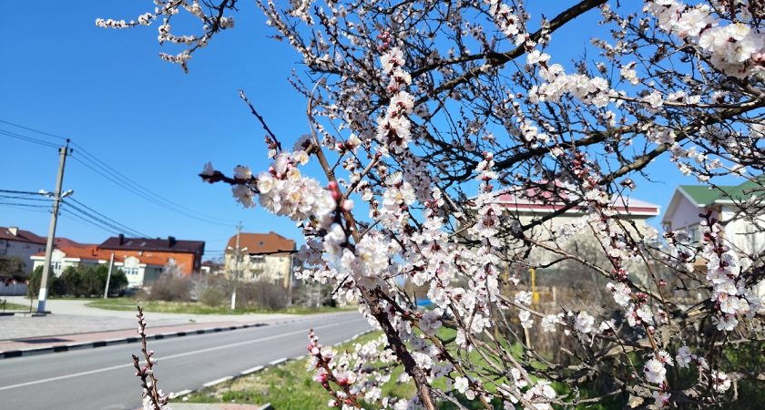 Прогноз по народным приметам: 28 февраля предскажет, когда закончится зима