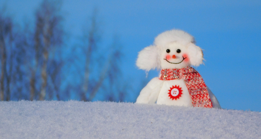 28 февраля в Удмуртии ожидается облачная погода, небольшой снег и гололедица