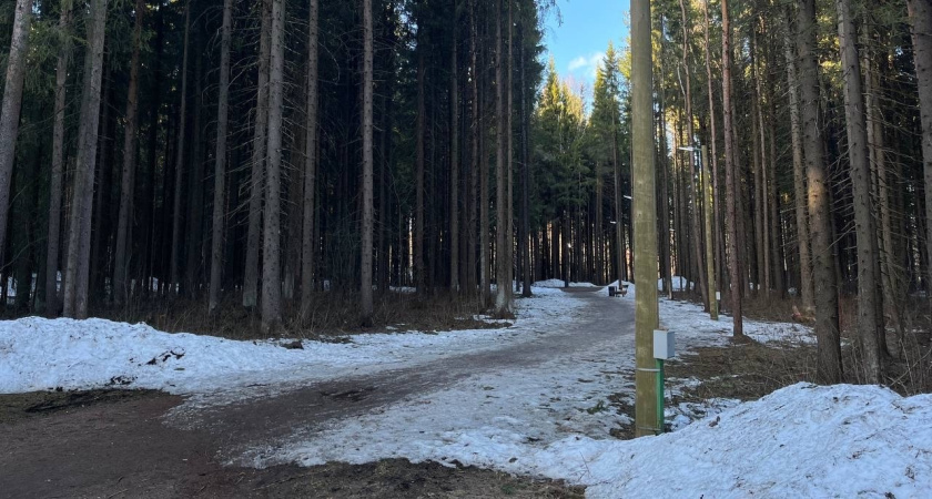 1 марта в Удмуртии ожидается облачная погода, снег и гололедица