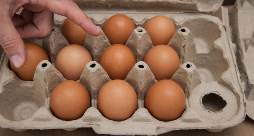 Лотки от яиц больше не выбрасываю - вот как выручают в хозяйстве