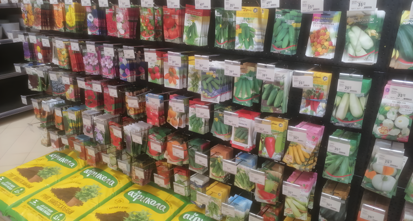 Для богатого урожая: как правильно выбрать семена для рассады, чтобы каждое семечко порадовало