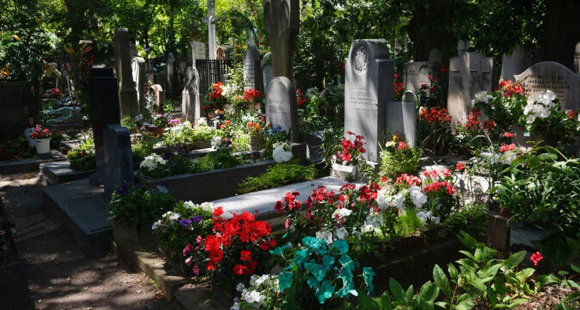 Какие цветы посадить на могиле, которую редко навещаете: 12 удобных многолетников