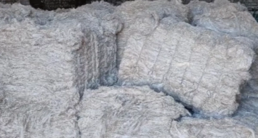 Удмуртия начала массовые поставки льноволокна в Китай в 2026 году: данные Россельхознадзора