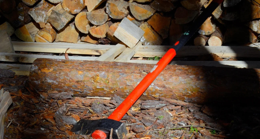 Цена "бесплатных" дров: житель Удмуртии заплатит миллионы за несколько деревьев