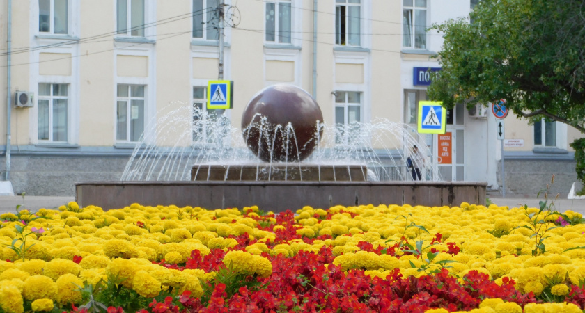 Аграрии Удмуртии собрали более 55 миллионов срезанных цветов в 2025 году и обеспечили 9% фермерского рынка России