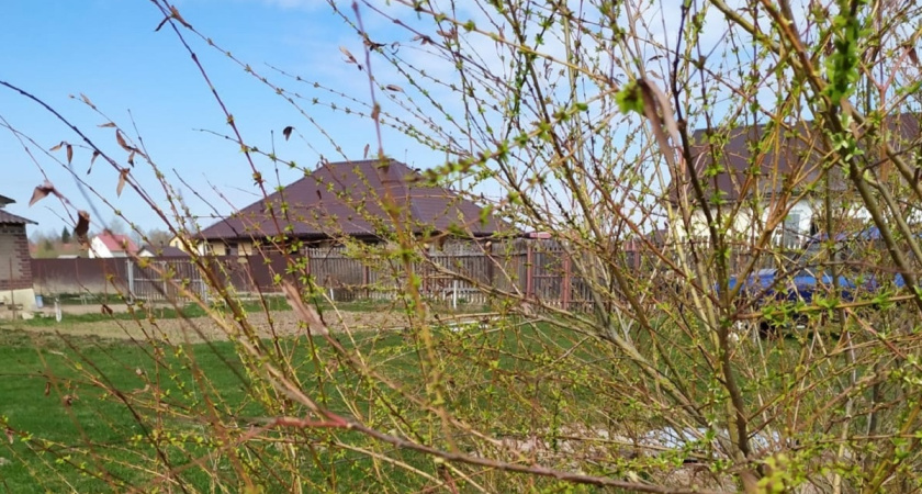 Вильфанд назвал точные даты: когда тепло придет в Центральную Россию вместо надоевших морозов