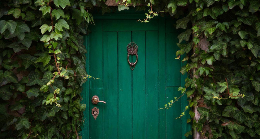 Летний кошмар дачника: как навсегда победить запах из туалета с выгребной ямой