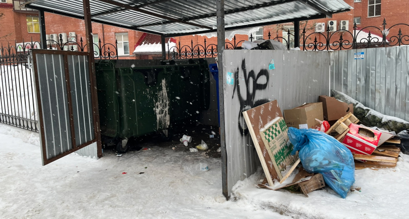 Глазовчане жалуются на горы мусора во дворах: администрация обещает разобраться за пару дней