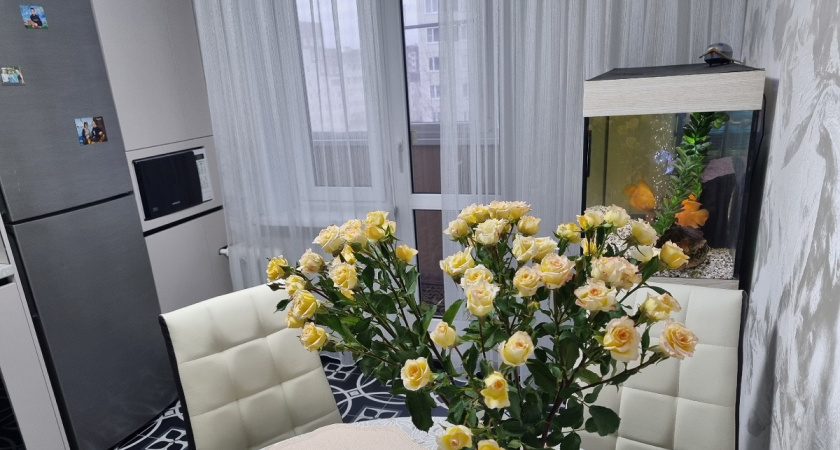 Вешать шторы на кухне больше не модно: новый экологичный тренд 2026 от дизайнеров