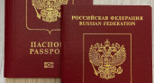 Увеличится госпошлина за выдачу загранпаспортов и прием в гражданство РФ