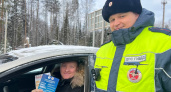 Госавтоинспекторы Удмуртии проводят рейды